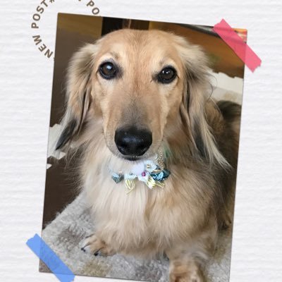 terumi3810914's profile picture. 