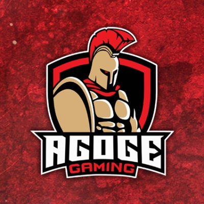 eSports Community || Valorant - Smite || Partnered with @TheRogueEnergy @Humble || @One_WishFDN || Business AgogeGaming@Gmail.com