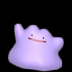 椛丸さんのプロフィール画像