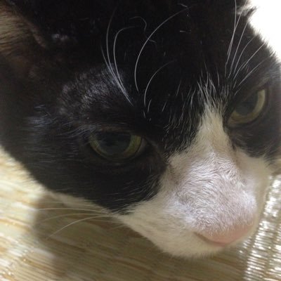 B2zgHVepRrIRA74's profile picture. 見る専です