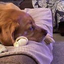 Michael Bisbee - @bisbeem22 - Twitter