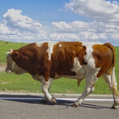 fengliu20221111's profile picture. 