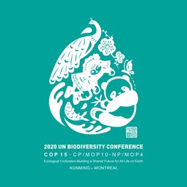 The official account of UN Biodiversity Conference under China Presidency from 7-19 December, 2022 in Montreal 🇨🇦. #COP15. RTs are not endorsements.