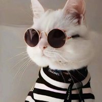 0xSong (@web3_song) 's Twitter Profile