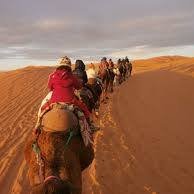 Sahara Gate Tours(@saharagatetours) 's Twitter Profile Photo