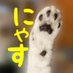 保護猫タイショーくんの思い出 (@noranecotaisho) Twitter profile photo 保護猫タイショーくんの思い出 (@noranecotaisho) Twitter profile photo