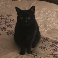 Suzette (@ss850501) 's Twitter Profile