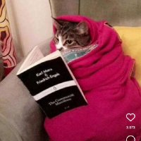 ℛℴ𝒸𝒾ℴ (@rocruzx) 's Twitter Profile