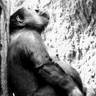 IrizarryWright's profile picture. 