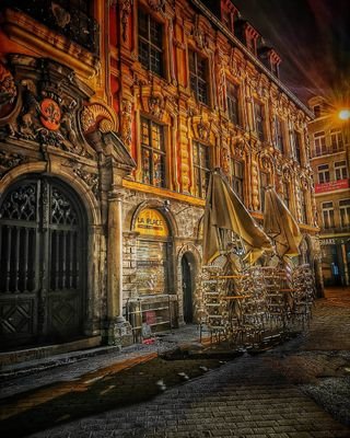 PhilippeVDEC651's profile picture. 