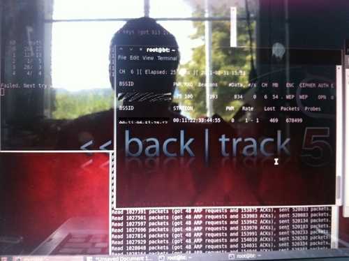 toormai's profile picture. 