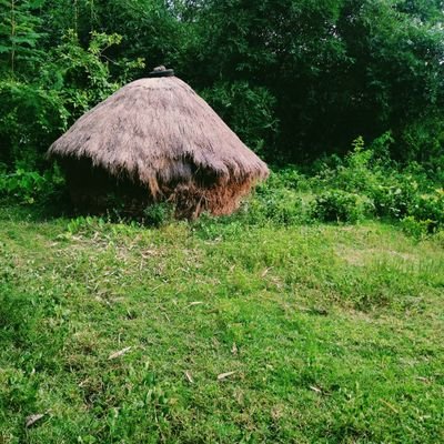SandipB17819014's profile picture. ♡ARISE,AWAKE AND STOP NOT TILL THE GOAL IS REACHED...🍃