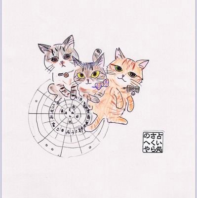 akichan60's profile picture. ツジビル村人🔮某老舗占い館在籍後 サロン鑑定しています 。保護猫カフェや近隣カフェでの出張鑑定を時々🐱保護猫カフェミャーーーオさんからルカシュとベス&トラタンとの3ニャンと夫暮らし