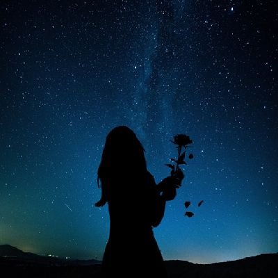 GroverNoor's profile picture. 🇮🇳 Hindustani🇮🇳
Busy in thinking a faltu bio 😶
 Alt (as dead as this one) - @bhakkbe