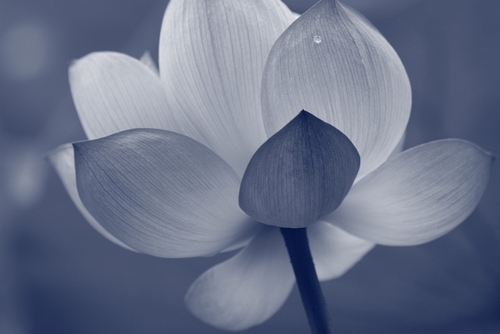 mariandanik's profile picture. 