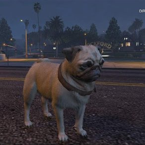 pugzrocklol's profile picture. 