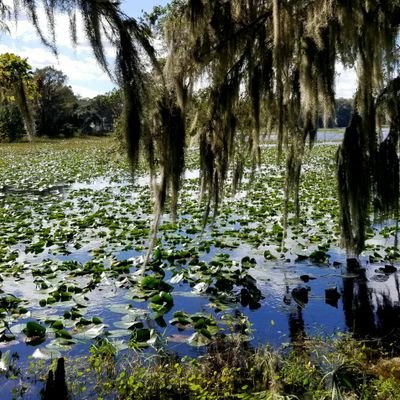 A family of farmers and plant-based eaters focused on sustainability, nutrition, recipes, healthy lifestyle, gardening, farming, and everything in between.