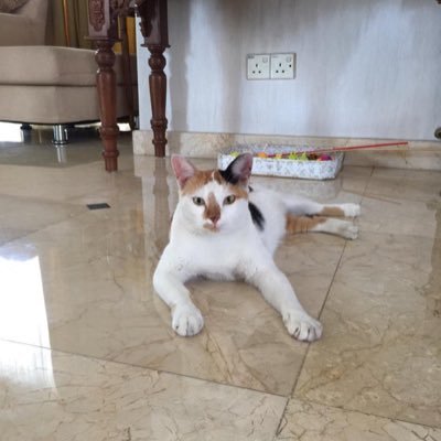 NZ47614717's profile picture. “Time doesn’t heal anything...it just teaches us how to live with pain”