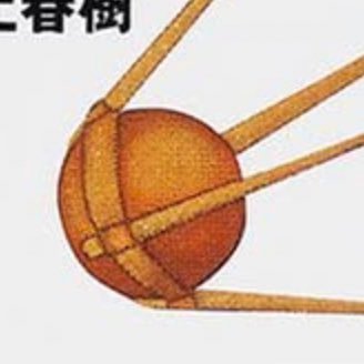 あらゆる娯楽を愛してやまない男。 エンタメの話から政治(立憲民主党支持)の話まで幅広く呟く。