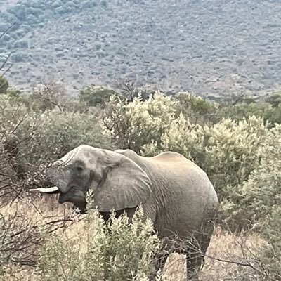 MarianneEales's profile picture. Please follow me @RHSWellbeing for Royal Hospital School Pupil Welfare Assistant.