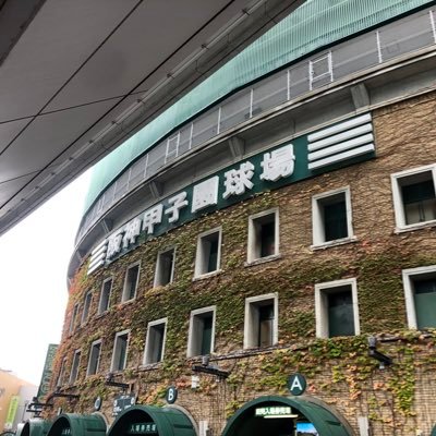 kawachinokami63's profile picture. 堺の趣味人。官職名が欲しくて河内守(かわちのかみ)。全く偉くない。野球とゴジラがメイン趣味。一応、虎ファン。雑多垢。最近は歴史と音楽に偏る。