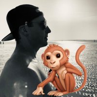 VOLT MONKEY ⚡️🐒 (@thevoltmonkey) 's Twitter Profile