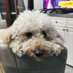 Mario (@ilanna63) Twitter profile photo Mario (@ilanna63) Twitter profile photo
