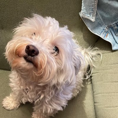 rockyblanes's profile picture. 