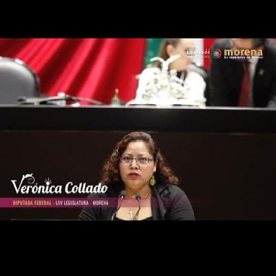 Diputada Federal del Grupo Parlamentario de Morena.