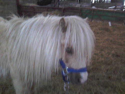 L30PJA's profile picture. 