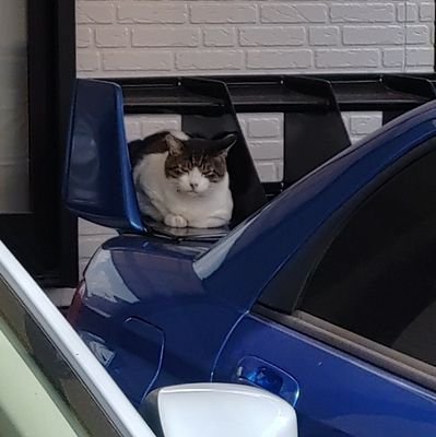 SulejmaniP's profile picture. サッカー(特にFOOTISTAと浦和)は@WCCF_SulejmaniPにお願いします
GDB乗りの社畜ちはまこP