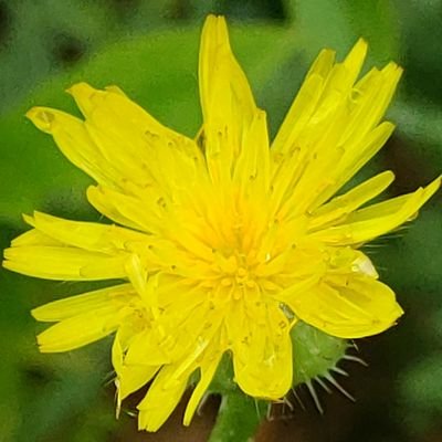 rgml1109's profile picture. 