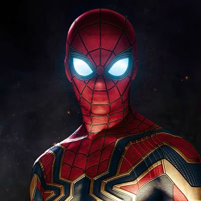 SpiderVerse22_ Profile Picture