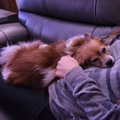 OreoTesla's profile picture. Tesla Enthusiast and a Proud Husband and Father of 2 Awesome Boys.