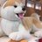 イオチヤン=サンのTwitterプロフィール画像