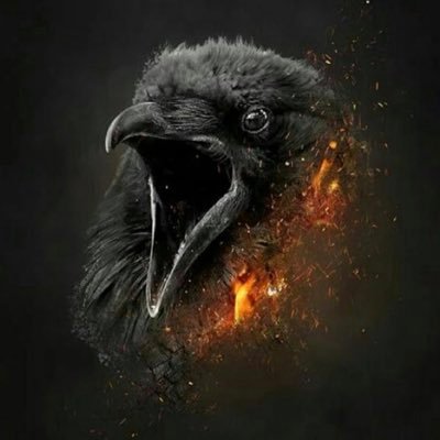 fierdcroww's profile picture. 