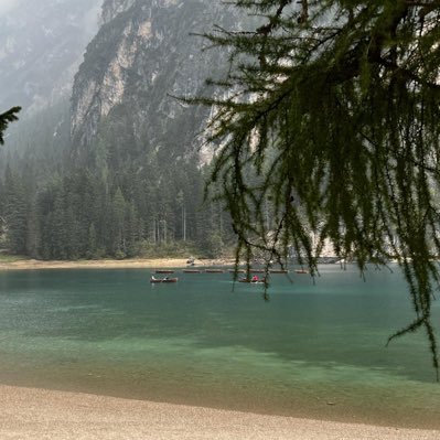 mnatafg's profile picture. 