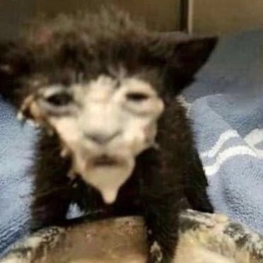 vojtahaba's profile picture. 