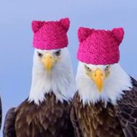 Jersey Shore🟧 (@shorepoint888) 's Twitter Profile Photo Jersey Shore🟧 (@shorepoint888) 's Twitter Profile Photo