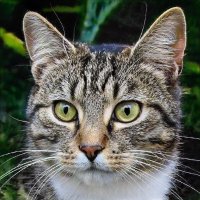 Yolanda Diederich.lens(💙,🧡) (@yolandadiederi4) 's Twitter Profile