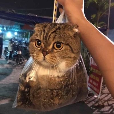 ace_ncl's profile picture. Kalo cape tuh istirahat bukannya ngeluh