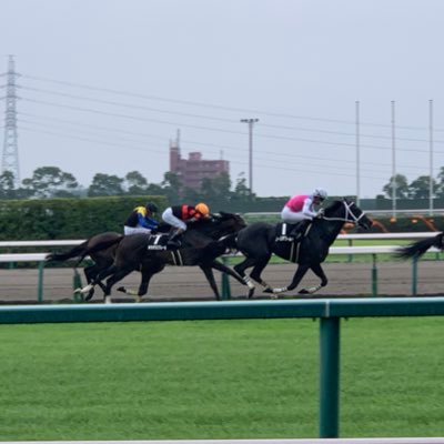 配信者様と競走馬を応援していたい。