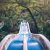 AbandonedSwimmingPools (@abandoned_pools) Twitter profile photo AbandonedSwimmingPools (@abandoned_pools) Twitter profile photo