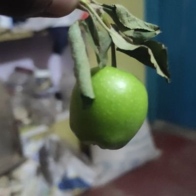 rong44755379's profile picture. 