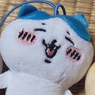 もけさんのプロフィール画像