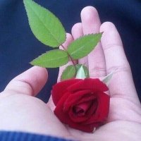 Mariana Mary (@mariana01567732) 's Twitter Profile Photo Mariana Mary (@mariana01567732) 's Twitter Profile Photo