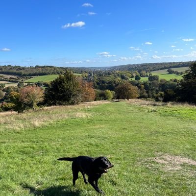 ljs413413's profile picture. 