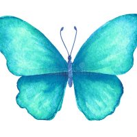 APOLLO (@apollo_2310) 's Twitter Profile