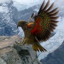 Thomas licari - @thomaslicari - Twitter