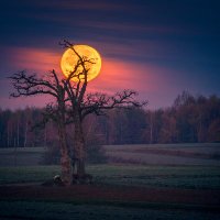 Witold Ochał (@witekochal) 's Twitter Profile Photo Witold Ochał (@witekochal) 's Twitter Profile Photo